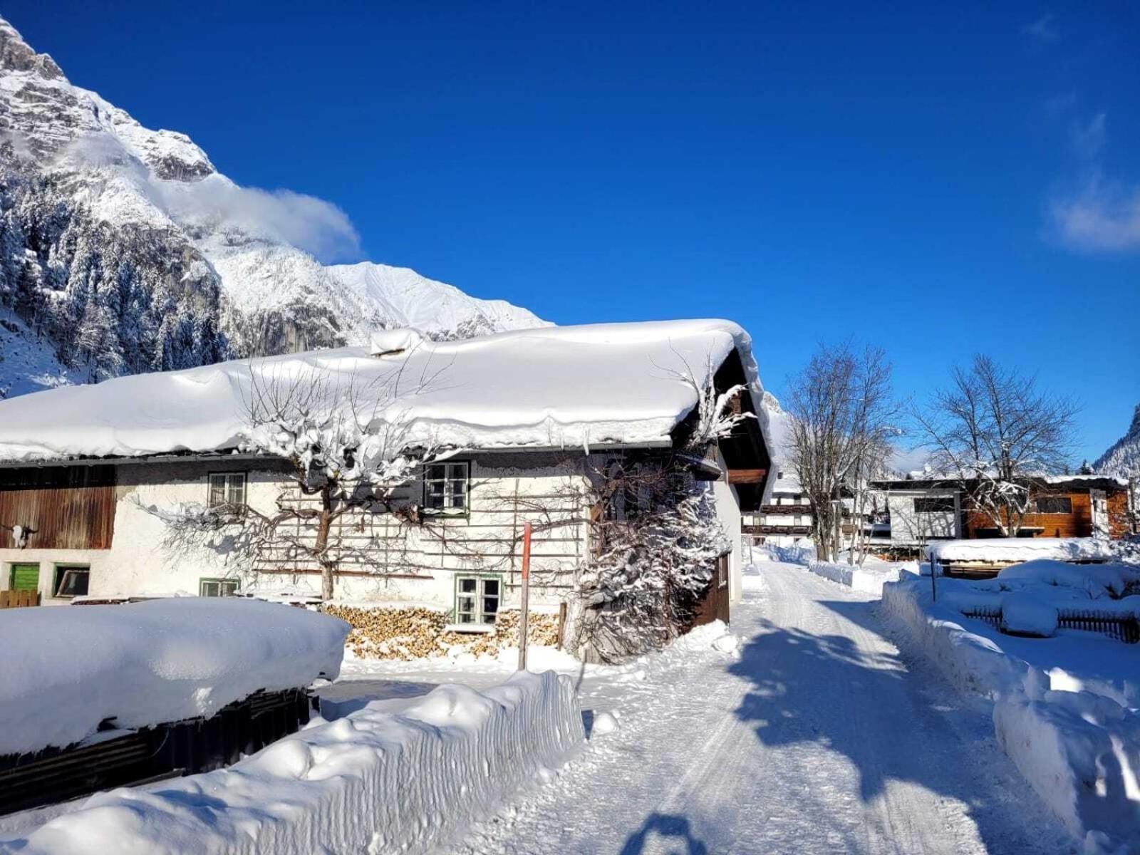 Alpenchalet Im Leutaschtal Buitenkant foto
